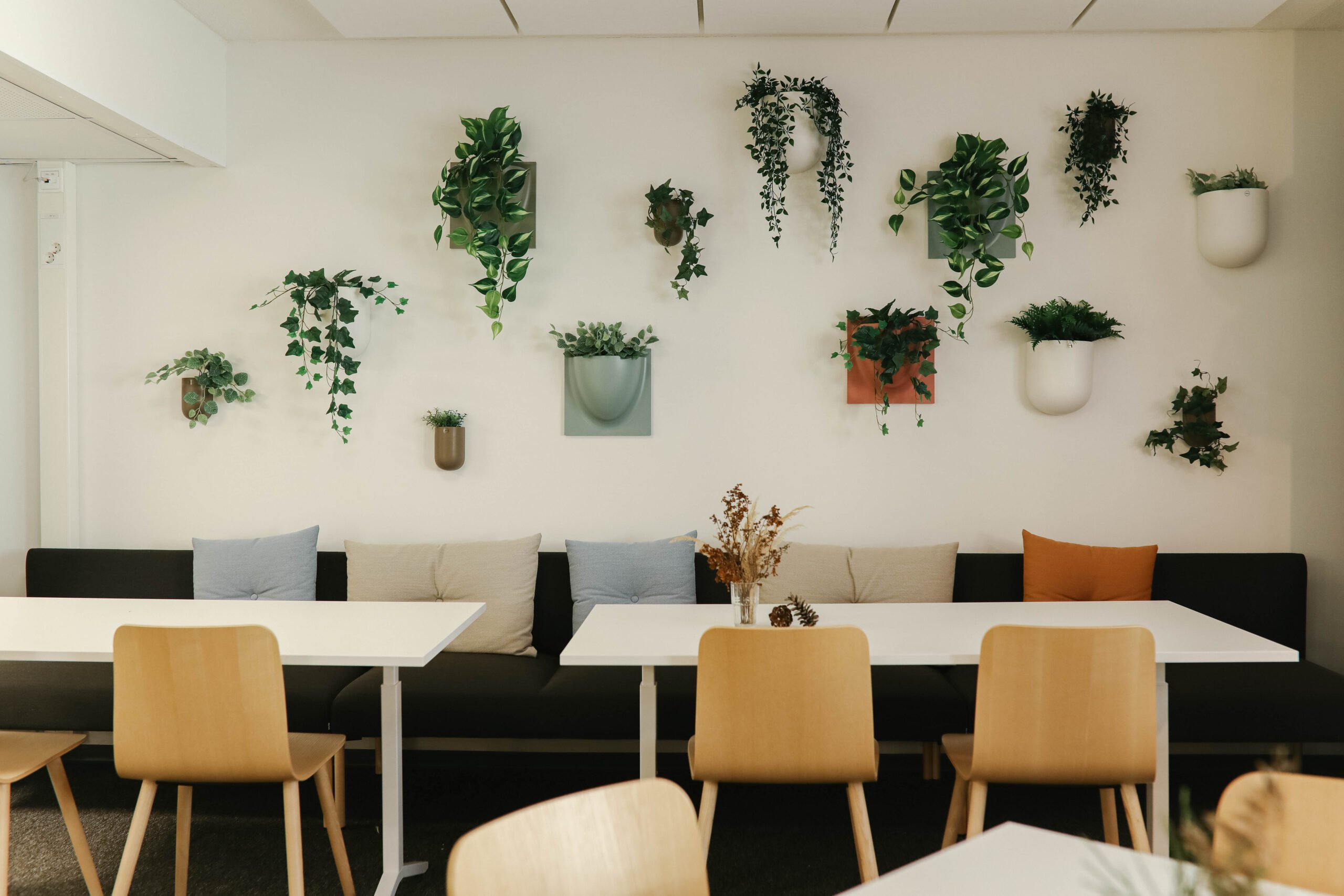 Tässä kuvassa on Joensuun toimiston taukotilan viherkasviseinä, jossa on viherkasveja erikokoisissa ruukuissa seinällä sekä sen edessä penkkejä ja tuoleja